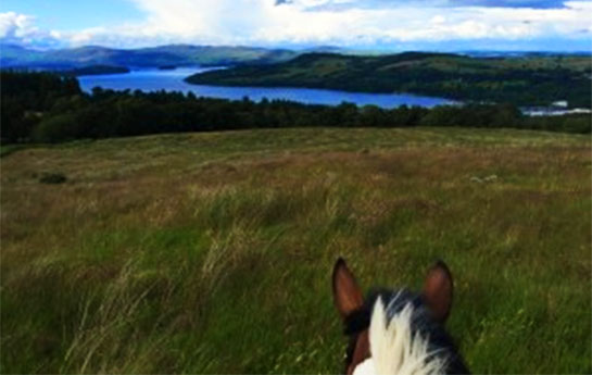 Pony Trekking in Glasgow Erasmus_auslandspraktikum_glasgow_3